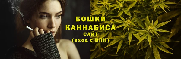 мдпв Бронницы